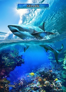 Shark #3